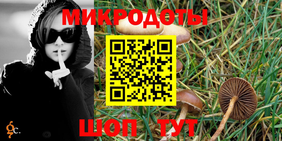 Псилоцибиновые грибы Psilocybe Долгопрудный