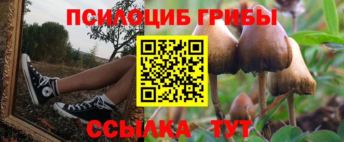 Галлюциногенные грибы ЛСД  Вход с VPN  Долгопрудный 